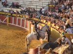 fuengirola spain bullfight